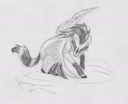 Size: 2464x2021 | Tagged: safe, artist:joestick, oc, species:pegasus, species:pony, g4, looking at you, monochrome, pegasus oc, spread wings, traditional art, wings