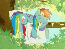 Size: 2592x1944 | Tagged: safe, artist:zzvinniezz, character:rainbow dash, blanket, cute, female, pillow, sleeping, solo, tree