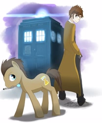 Size: 2500x3000 | Tagged: safe, artist:stupidyou3, character:doctor whooves, character:time turner, species:pony, doctor who, duo, high res, sonic screwdriver, tardis, the doctor, time lord, timelord ponidox