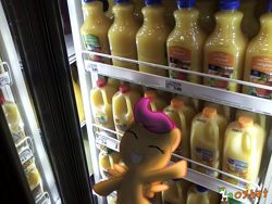 Size: 1024x768 | Tagged: safe, artist:ojhat, character:scootaloo, species:pegasus, species:pony, irl, orange juice, photo, ponies in real life, supermarket