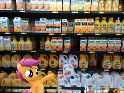 Size: 900x675 | Tagged: safe, artist:ojhat, character:scootaloo, species:pegasus, species:pony, irl, orange juice, photo, ponies in real life, supermarket