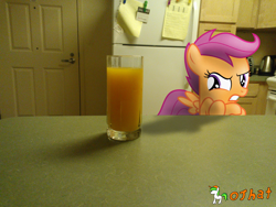 Size: 3264x2448 | Tagged: safe, artist:ojhat, character:scootaloo, species:pegasus, species:pony, crossed hooves, disgusted, female, filly, irl, kitchen, orange juice, photo, ponies in real life, solo