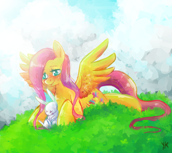 Size: 900x800 | Tagged: safe, artist:dotoriii, character:angel bunny, character:fluttershy, animal, cloud, grass, sleeping