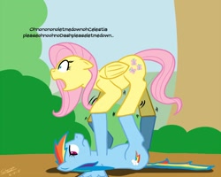 Size: 800x640 | Tagged: safe, artist:scherzo, character:fluttershy, character:rainbow dash, balancing, floppy ears, frown, on back, open mouth, scared, shivering, unamused, wide eyes