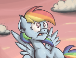 Size: 816x625 | Tagged: safe, artist:scrimpeh, character:rainbow dash