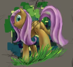 Size: 1728x1591 | Tagged: safe, artist:ruffu, character:fluttershy, female, from below, solo