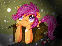 Size: 1024x768 | Tagged: safe, artist:scootaloocuteness, character:scootaloo, species:pegasus, species:pony, abandoned, box, cute, cutealoo, female, homeless, orphan, pony in a box, scootalone, snow, snowfall, solo