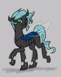 Size: 1794x2255 | Tagged: safe, artist:valkyrie-girl, oc, oc only, oc:ghost, species:changeling, fanfic:the successors, fanfic, fanfic art, female, gray background, simple background, solo, walking