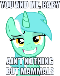 Size: 974x1226 | Tagged: safe, artist:hazama, artist:mrvvho, character:lyra heartstrings, species:pony, species:unicorn, bedroom eyes, bloodhound gang, bronybait, caption, female, grin, image macro, lyrics, mare, simple background, solo, the bad touch, transparent background, vector