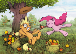 Size: 1024x733 | Tagged: safe, artist:cannibalus, character:applejack, character:pinkie pie, apple, basket, clothing, cowboy hat, hat, jumping, orchard, party horn, prank, startled, tree, waking up