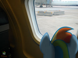 Size: 3264x2448 | Tagged: safe, artist:ojhat, artist:sairoch, character:rainbow dash, barrier, concrete, irl, photo, plane, ponies in real life, vector, window