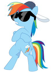 Size: 2980x4213 | Tagged: safe, artist:erockertorres, character:rainbow dash, episode:may the best pet win, g4, my little pony: friendship is magic, clothing, hat, simple background, sunglasses, transparent background, vector