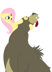 Size: 2700x3780 | Tagged: safe, artist:erockertorres, character:fluttershy, character:harry, species:pony, episode:lesson zero, g4, my little pony: friendship is magic, bear, duo, female, high res, male, mare, simple background, tongue out, transparent background, vector