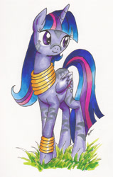Size: 1414x2217 | Tagged: source needed, useless source url, safe, artist:catscratchpaper, character:twilight sparkle, character:twilight sparkle (alicorn), species:alicorn, species:pony, species:zebra, female, fusion, leg rings, mare, neck rings, older, simple background, solo, species swap, traditional art, white background, zebra alicorn, zebrafied