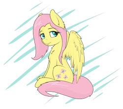 Size: 4186x3683 | Tagged: safe, artist:strachattack, character:fluttershy, chest fluff, female, fluffy, solo