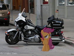 Size: 1278x966 | Tagged: safe, artist:digitalpheonix, artist:tamalesyatole, character:scootaloo, species:pegasus, species:pony, flag, glass, harley davidson, irl, motorcycle, photo, police, ponies in real life, shadow, solo, street, suv, vector