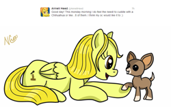 Size: 893x561 | Tagged: safe, artist:cwossie, character:spitfire, species:dog, anneli heed, chihuahua