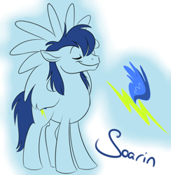 Size: 974x1000 | Tagged: safe, artist:calicopikachu, character:soarin', species:pegasus, species:pony, alternate hairstyle, cutie mark, eyes closed, male, solo, stallion