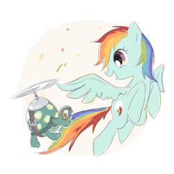 Size: 600x600 | Tagged: safe, artist:raichi, character:rainbow dash, character:tank, species:pegasus, species:pony, eye contact, flying, happy, pet, simple background, tortoise