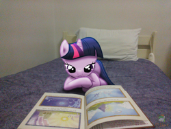 Size: 3264x2448 | Tagged: safe, artist:fluttershy7, artist:ojhat, character:princess celestia, character:princess luna, character:twilight sparkle, bed, book, elements of harmony, irl, photo, pillow, ponies in real life, reading, solo, vector