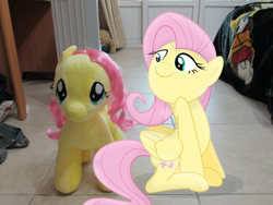 Size: 4608x3456 | Tagged: safe, artist:guillex3, artist:missbeigepony, character:fluttershy, species:pegasus, species:pony, bed, blanket, build-a-bear, comparison, female, floor, irl, mare, photo, plushie, ponidox, ponies in real life, self plushidox, self ponidox, vector