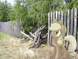 Size: 2048x1536 | Tagged: safe, artist:claritea, artist:missbeigepony, character:applejack, species:pony, broken, discorded, fence, irl, liar face, liarjack, photo, ponies in real life, reference, scrunchy face, silly, silly pony, solo, tree, vector, who's a silly pony