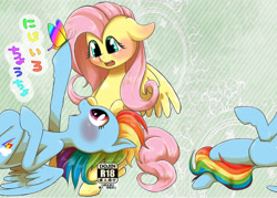 Size: 6260x4488 | Tagged: safe, artist:kiriya, character:fluttershy, character:rainbow dash, absurd resolution, cover, doujin, explicit source, preview