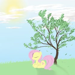 Size: 2000x2000 | Tagged: safe, artist:burnoid096, character:fluttershy, cloud, cloudy, female, leaves, sky, solo, sun, tree