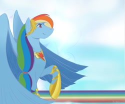 Size: 1180x981 | Tagged: safe, artist:scappo, character:rainbow dash, wallpaper