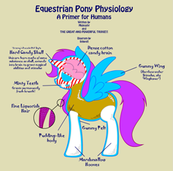 Size: 881x874 | Tagged: safe, artist:inkwell, species:alicorn, species:pony, anatomy, candy, diagram, marshmallow, simple background, sugar based lifeform, text
