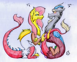 Size: 2602x2090 | Tagged: safe, artist:nekotigerfire, character:discord, character:fluttershy, species:draconequus, ship:discoshy, angry, blushing, draconequified, duo, female, flutterequus, male, shipping, species swap, straight, traditional art