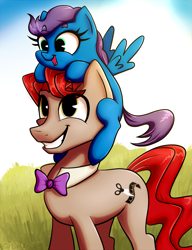 Size: 1305x1696 | Tagged: safe, artist:sigmanas, oc, oc only, oc:bedbug, oc:cross-cut, species:earth pony, species:pegasus, species:pony, bow tie, cute, grass, grin, looking up, ocbetes, open mouth, pair, pony hat, siblings, smiling, squee, summer, щщоки