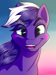 Size: 1142x1537 | Tagged: safe, artist:sigmanas, oc, oc only, oc:proudy hooves, happy, portrait, smiling, solo, sunset, щщоки