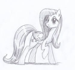 Size: 1758x1640 | Tagged: safe, artist:digiral, character:fluttershy, female, monochrome, solo, traditional art
