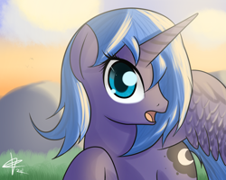 Size: 1280x1024 | Tagged: safe, artist:mister-markers, character:princess luna, female, s1 luna, solo