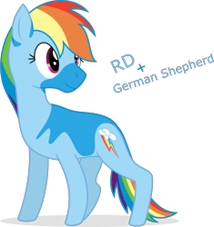 Size: 1280x1361 | Tagged: safe, artist:camo-pony, character:rainbow dash, species:dog, dogified, female, german shepherd, rainbow dog, simple background, solo, species swap, transparent background