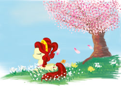 Size: 1280x960 | Tagged: safe, artist:arcanelexicon, character:cherry jubilee, cherry blossoms, female, solo, spring