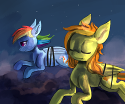Size: 1022x850 | Tagged: safe, artist:terrac0tta, character:rainbow dash, character:spitfire, bound wings