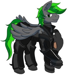 Size: 548x585 | Tagged: safe, artist:peachy-pudding, oc, oc only, oc:karl, species:pegasus, species:pony, fallout equestria, armor, enclave, fallout, powered exoskeleton
