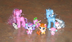 Size: 2083x1237 | Tagged: safe, artist:cheerbearsfan, character:spike, character:trixie, character:twilight sparkle, species:dog, species:pony, species:unicorn, blind bag, brushable, cat, female, irl, lego, lego friends, littlest pet shop, madame pom, mare, photo, poodle, squirrel, toy, zoe trent