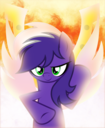 Size: 1280x1562 | Tagged: safe, artist:ivacatherianoid, oc, oc only, oc:proudy hooves, solo, vector