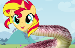 Size: 600x388 | Tagged: safe, artist:barbra, character:sunset shimmer, original species, snake, snake pony, sunset slither, wat, what has science done