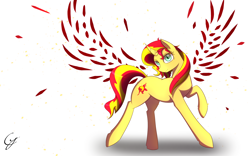 Size: 1920x1200 | Tagged: safe, artist:laptop-pone, character:sunset shimmer, species:pony, species:unicorn, my little pony:equestria girls, backwards cutie mark, female, raised hoof, solo, sunset phoenix