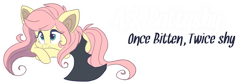 Size: 900x300 | Tagged: safe, artist:indiefoxtail, character:flutterbat, character:fluttershy, species:bat pony, species:pony, askbattyshy, banner, cute, female, race swap, shyabetes, solo
