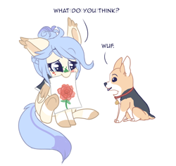 Size: 3562x3359 | Tagged: safe, artist:indiefoxtail, oc, oc only, oc:feather fluff, corgi, drawing, flower, mouth hold, rose, simple background, transparent background