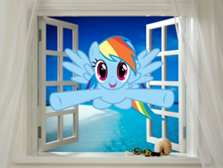 Size: 1600x1200 | Tagged: safe, artist:loboguerrero, artist:pokemonfan1996, character:rainbow dash, species:pony, beach, incoming hug, irl, ocean, photo, ponies in real life, vector, window