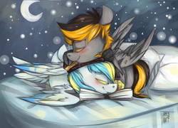 Size: 1238x890 | Tagged: safe, artist:tamyarts, oc, oc only, oc:cirrus sky, oc:digital import, species:hippogriff, beanie, bed, blushing, book, clothing, colored eyelashes, hat, moon, night, original species, shipping, snuggling, stars, talons