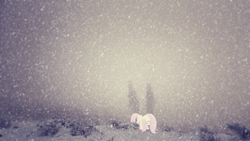 Size: 1920x1080 | Tagged: safe, artist:codershy, artist:sulyo, character:fluttershy, species:pegasus, species:pony, alone, blizzard, female, forest, irl, mare, photo, sad, snow, snowfall, solo, vector, wallpaper