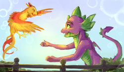 Size: 4000x2335 | Tagged: safe, artist:cuttledreams, character:peewee, character:spike, species:dragon, species:phoenix, awesome in hindsight, beautiful, best friends, duo, fence, floating, heartwarming in hindsight, hilarious in hindsight, majestic, male, older, older spike, peewee, winged spike
