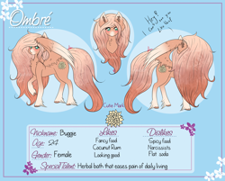 Size: 1500x1205 | Tagged: safe, artist:niniibear, oc, oc only, species:pegasus, species:pony, blue, brown, bust, creamy, cute, fluffy, info, portrait, reference sheet, sheet, side view, solo, wings